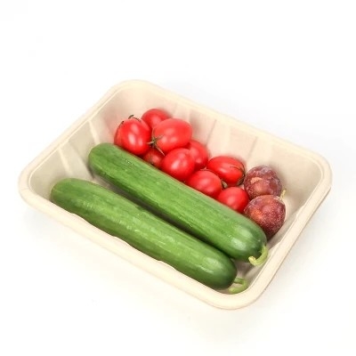 Mesin Pembuat Kantong Kertas Medis Biodegradable Berkecepatan Tinggi untuk Kotak Makan Siang Sekali Pakai yang Ramah Lingkungan