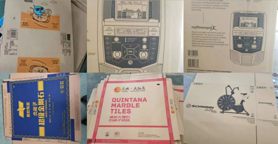 5 Warna Vacuum Transfer Flexography Paper Box Printing Mesin Slotting