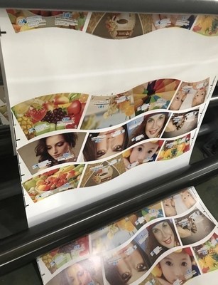 Mesin Cetak Flexographic 150m / Min 6 Warna 1350mm