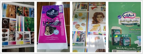 Mesin Cetak Flexo Enam Warna Berkecepatan Tinggi
