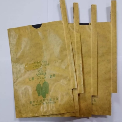 Mesin Pembuat Kantong Kertas Kraft Buah Mangga 3KW Otomatis